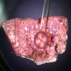 Uniaxial Figures under polariscope 3